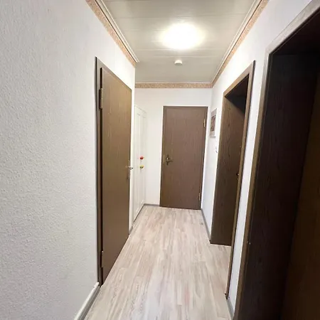 Cozy Workers In Daire *