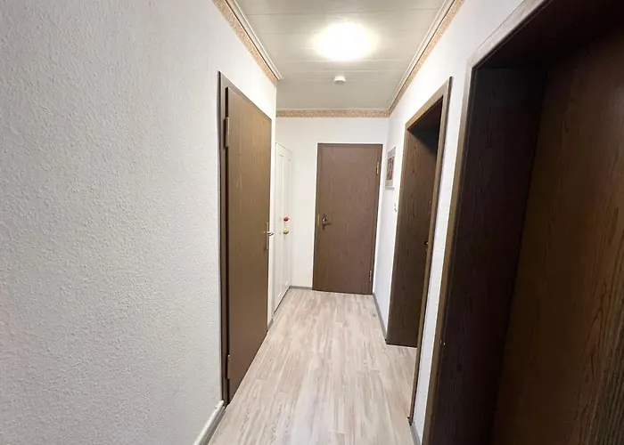 Cozy Workers In Daire *